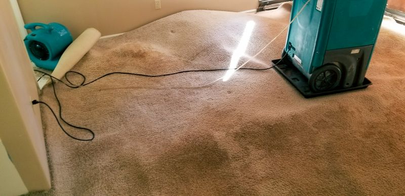 Clean-up After Water Damage