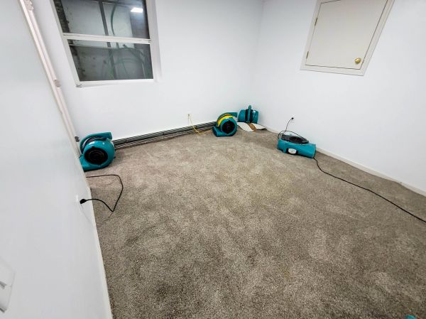 Flood Restoration Service in Bellevue