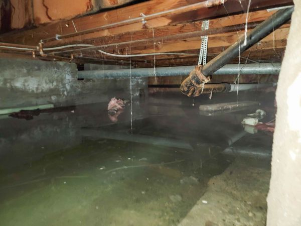 Cost of Water Mitigation Service in Bellevue