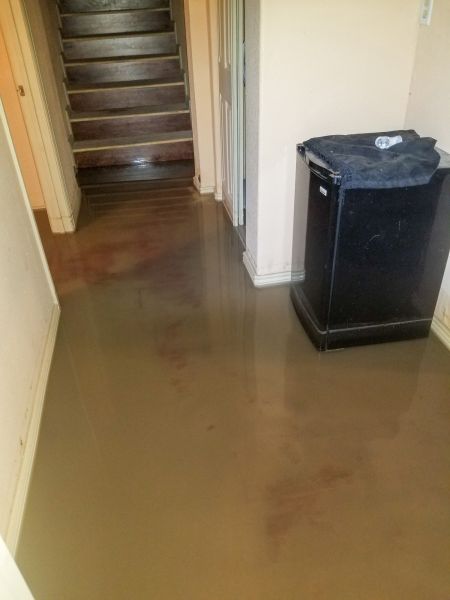 Cost of Emergency Water Removal in Bellevue