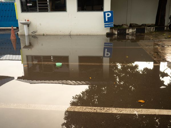 Cost of Storm Damage Repair in Bellevue